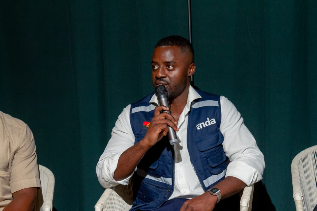 Lualink / Diaspora Connect event photo